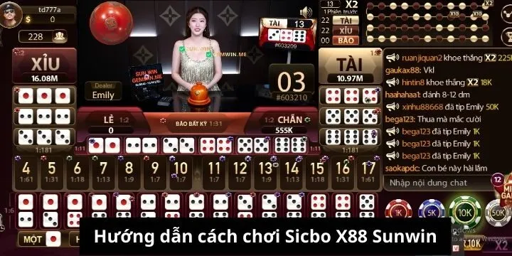 Các cửa cược phổ biến của sicbo X88 Sunwin 